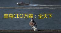 菜鸟CEO万霖:全天下电商尽管短期有不断定性,但临时看好电商睁开
